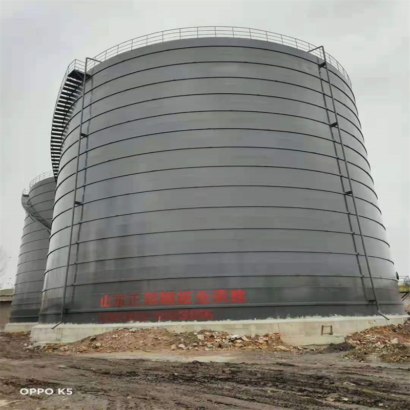 湛河3万吨大型钢板库