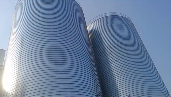 湛河2座混凝土高架卷板仓